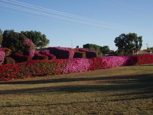 Capricorn Holiday Park Kingsford Exterior photo
